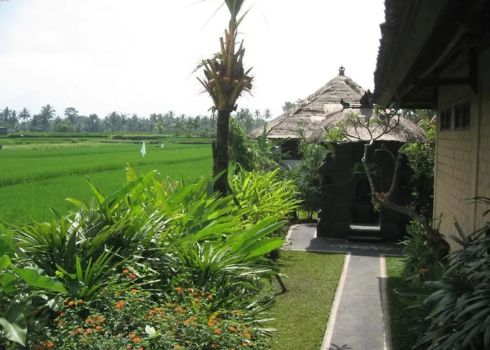 Terang Bulan 2*
