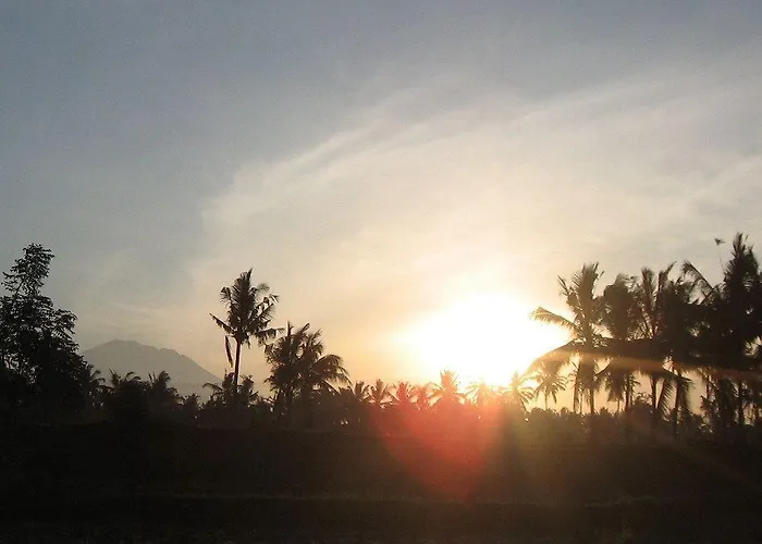 Terang Bulan Parco vacanze Ubud