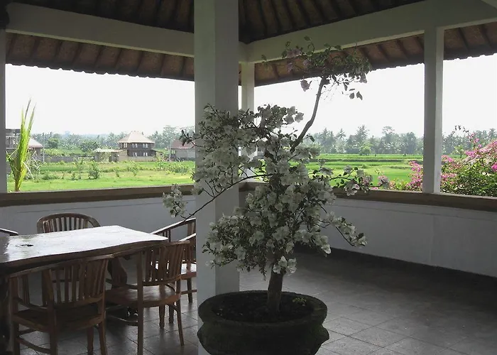 Terang Bulan 2* Ubud