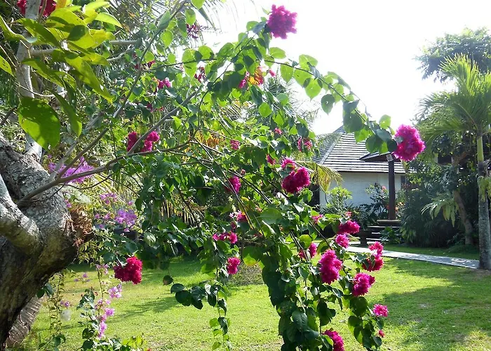 Terang Bulan Ubud