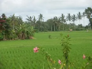 Parco vacanze Terang Bulan